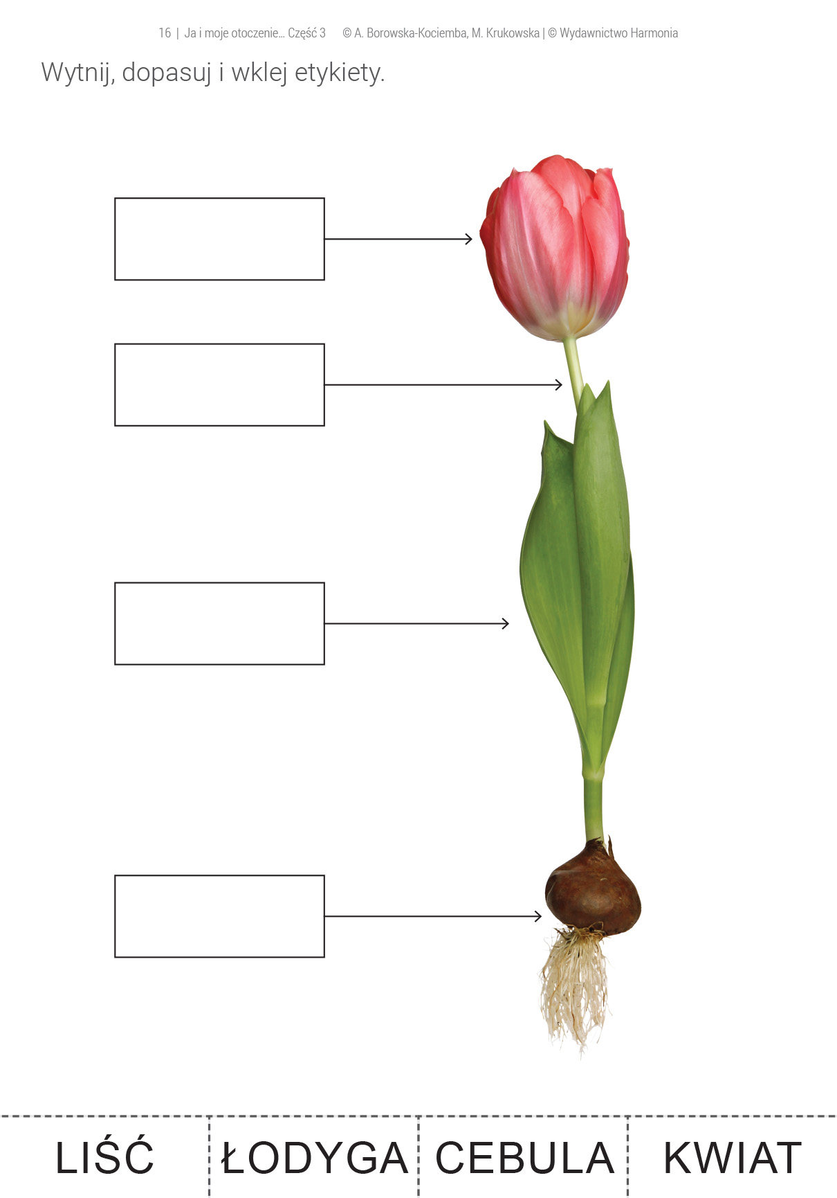 My I Historia Klasa 4 Ja I Moje Otoczenie harmonia.edu.pl
